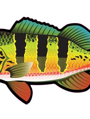 Tucunare Fish Decal